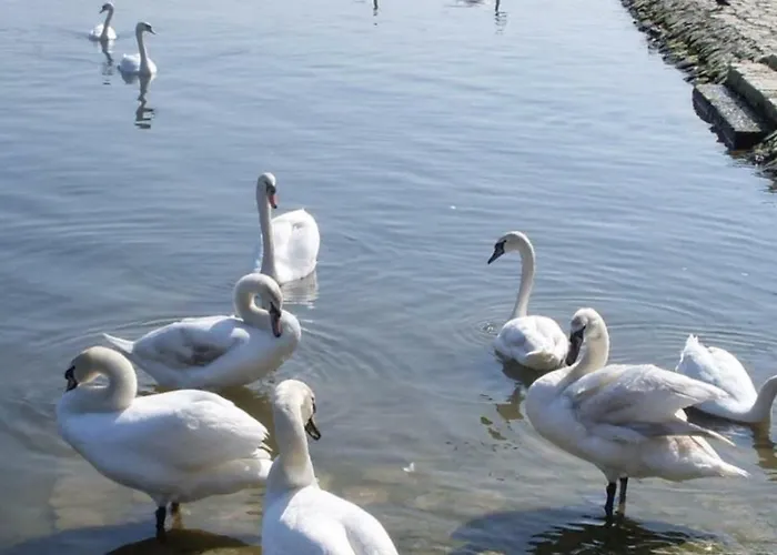 Apartment Park Belgrade